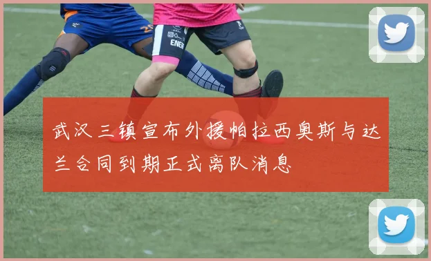 武汉三镇宣布外援帕拉西奥斯与达兰合同到期正式离队消息
