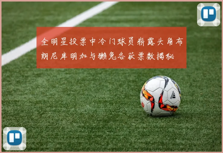 全明星投票中冷门球员崭露头角布朗尼库明加与獭兔各获票数揭秘