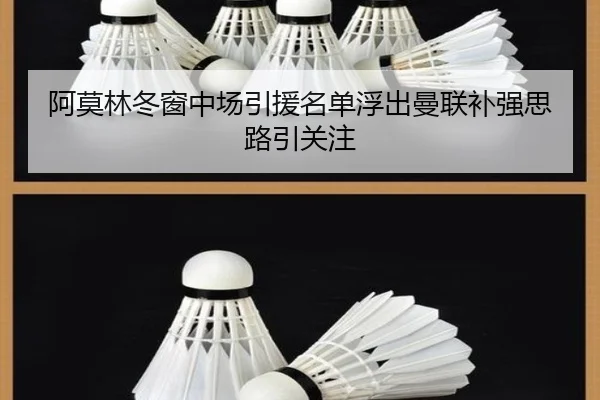 阿莫林冬窗中场引援名单浮出曼联补强思路引关注 | ManBetX